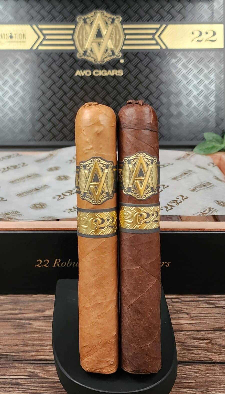 Avo Improvisation 2022 2