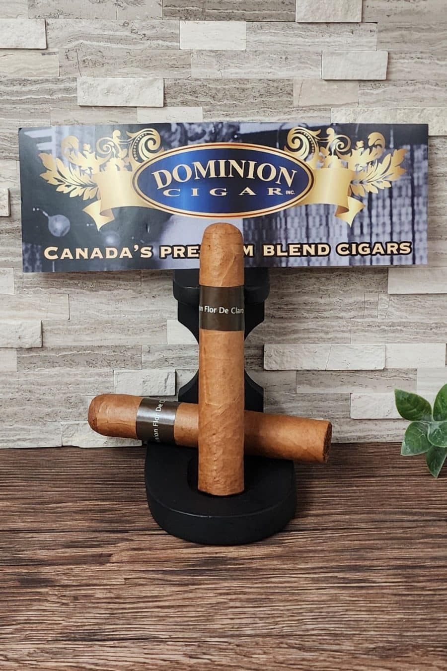 Dominion Flor De Claro