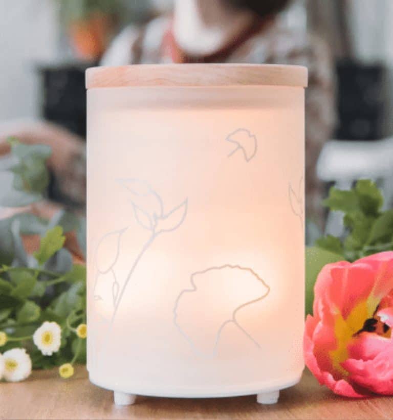 Mist Diffuser Scaled