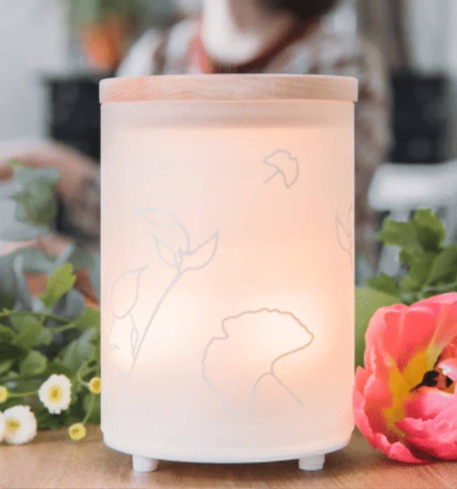 Mist Diffuser Scaled