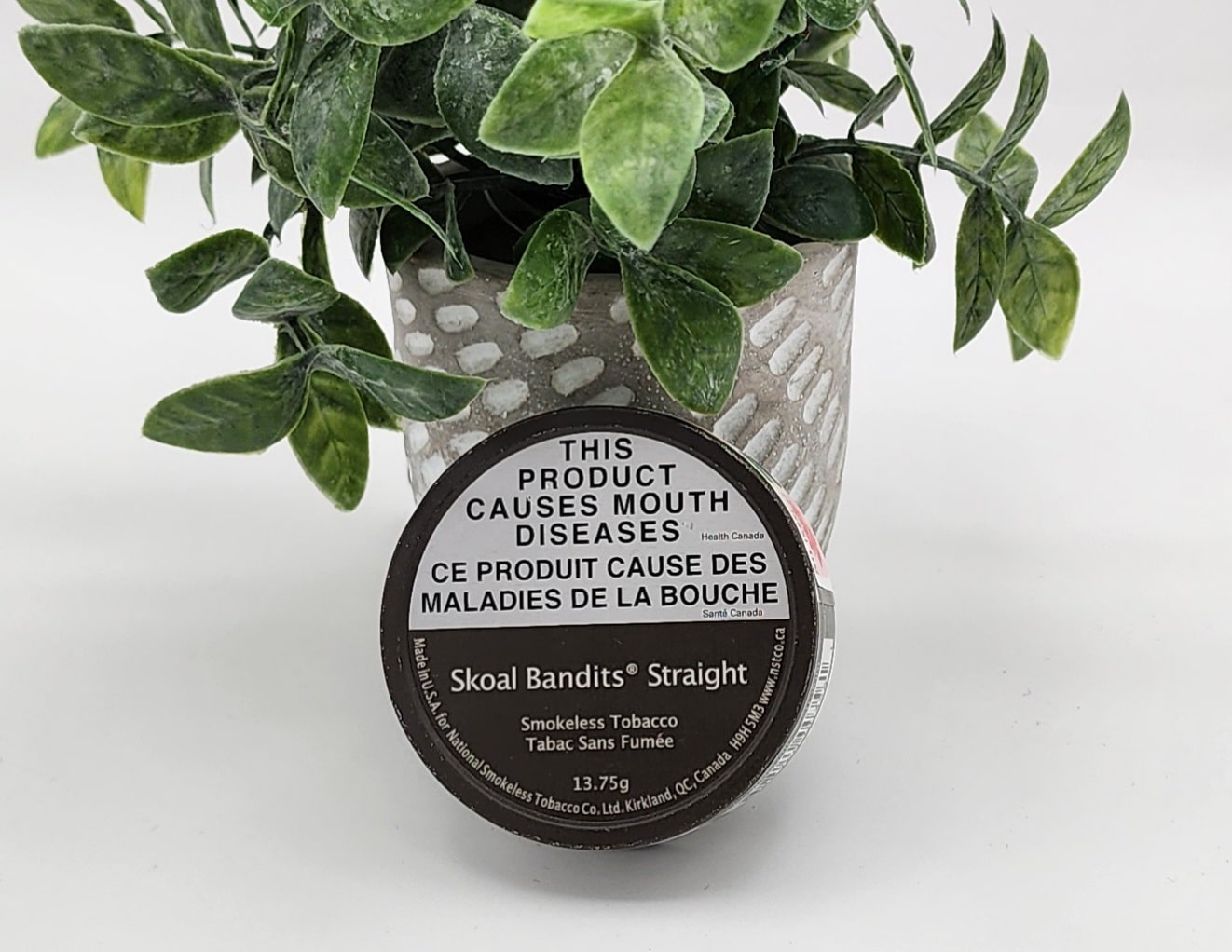 SKOAL BANDITS STRAIGHT - Casa Familia Cigars & Vapes