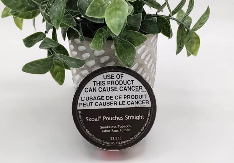 Skoal Pouches Straight