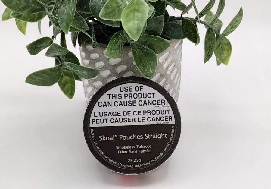 Skoal Pouches Straight