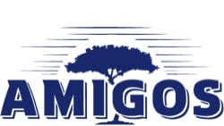AMIGOS