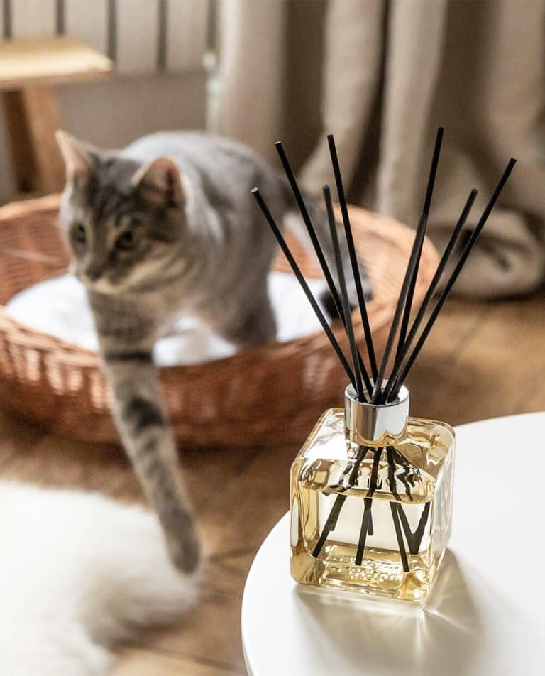 Reed Diffuser
