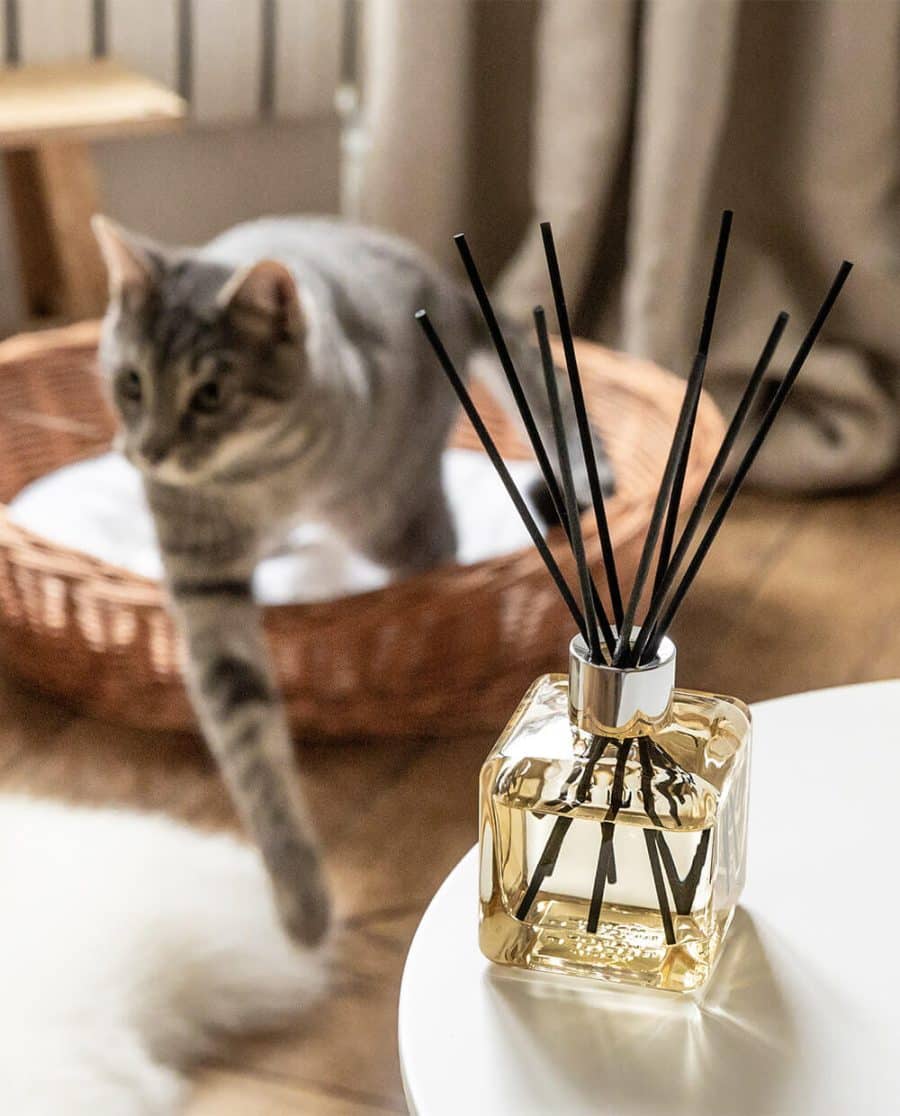 Reed Diffuser